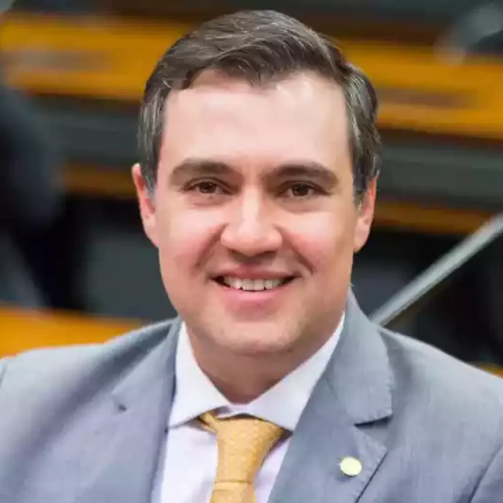 Luiz Lauro Filho Deputado Federal (SP)